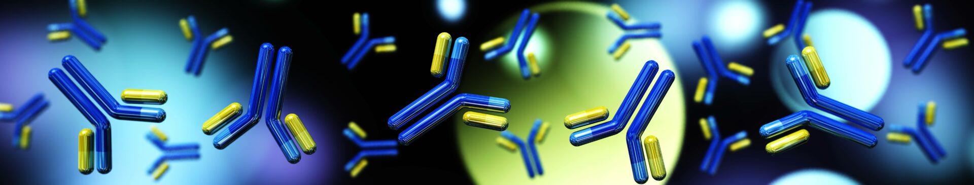 Antibody, immunoglobulin, y shaped protein , 3d rendering