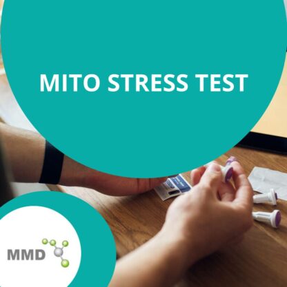 Mmd Mito Stress Square