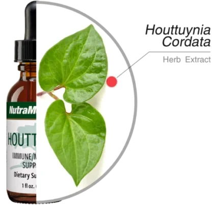 Houttuynia Nutramedix Ingredients