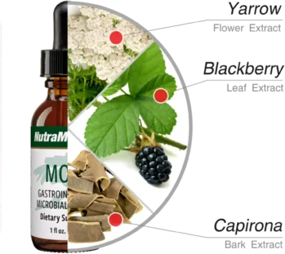 Mora nutramedix ingredients